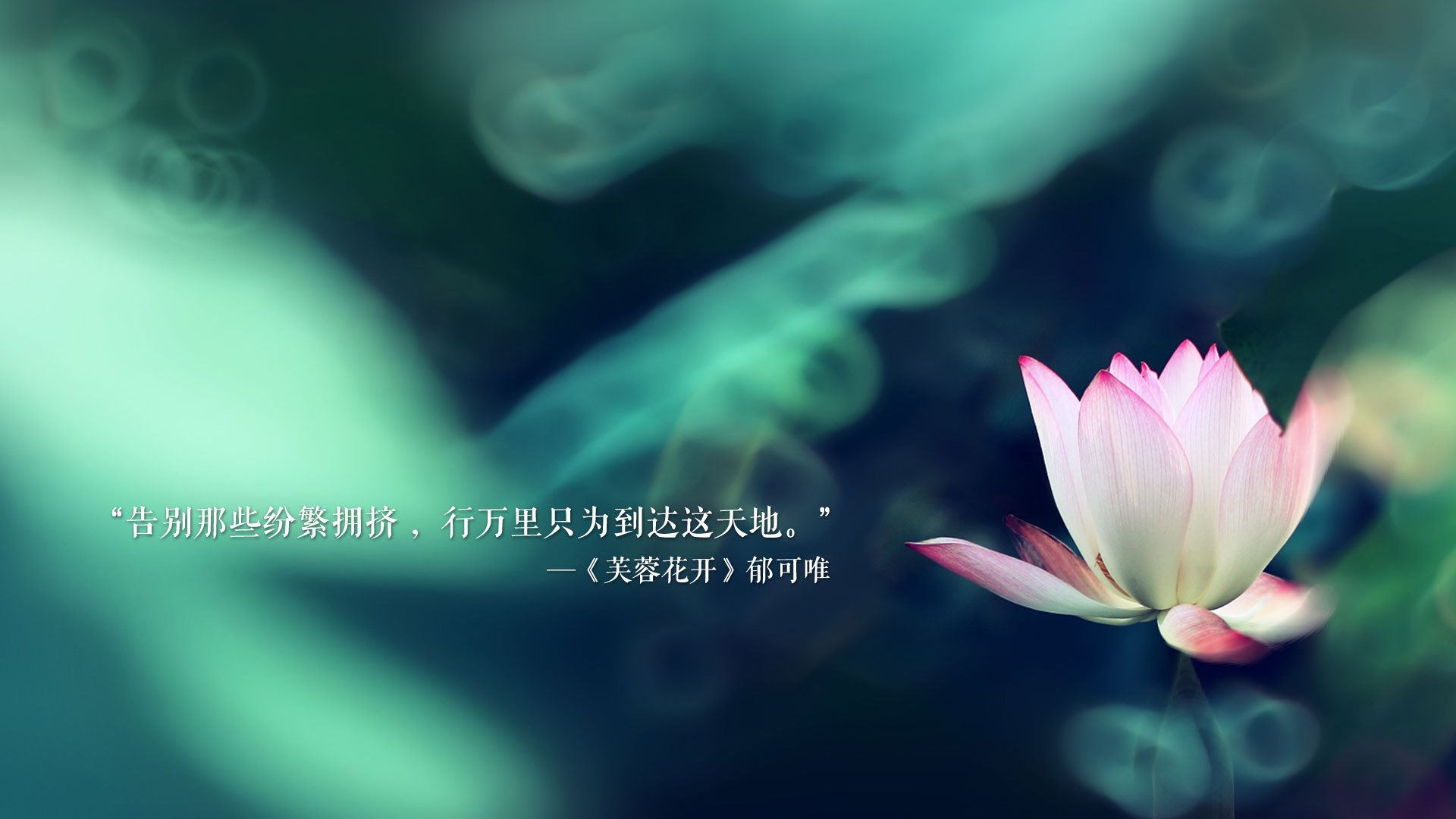 2025世俱杯对阵表-_山地自行车极限赛：穿越丛林，极速狂飙_，山地自行车越野赛