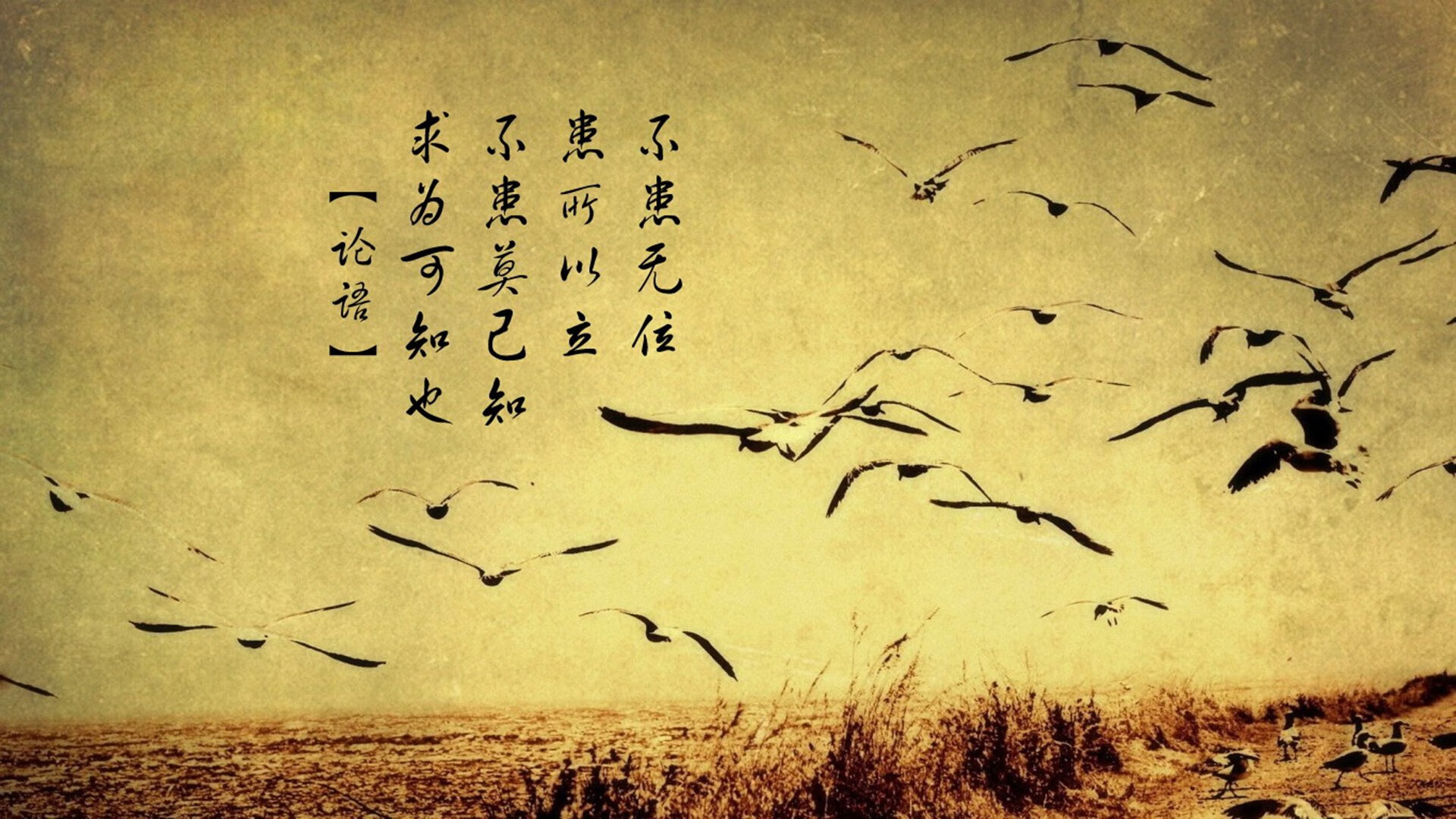 世俱杯比赛视频在线观看-【战术突破】奥沙利文：借助变招技巧打乱对手节奏，奥沙利文的发力技巧