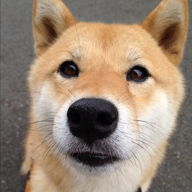 2025世俱杯赛程表-【智能裁判引领新潮流】未来比赛是否会“由机器决定”？，足球智能裁判