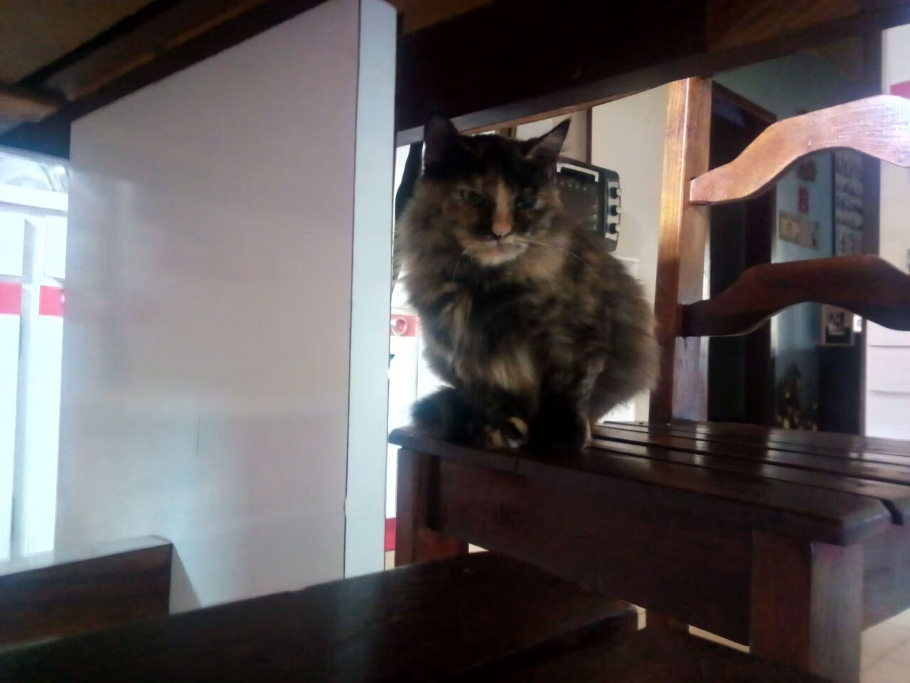 世俱杯2025全程直播-传奇岁月：那些让人铭记的“黄金时代”比赛，传奇世界黄金时代