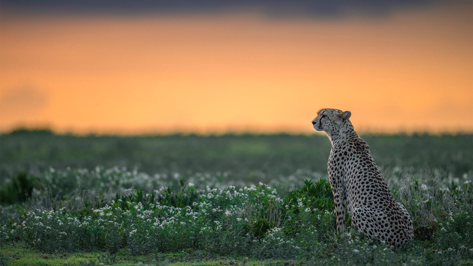 世俱杯2025全程直播-全国青少年“篮球+创新科技”大赛在北京火热举行，推动行业革新