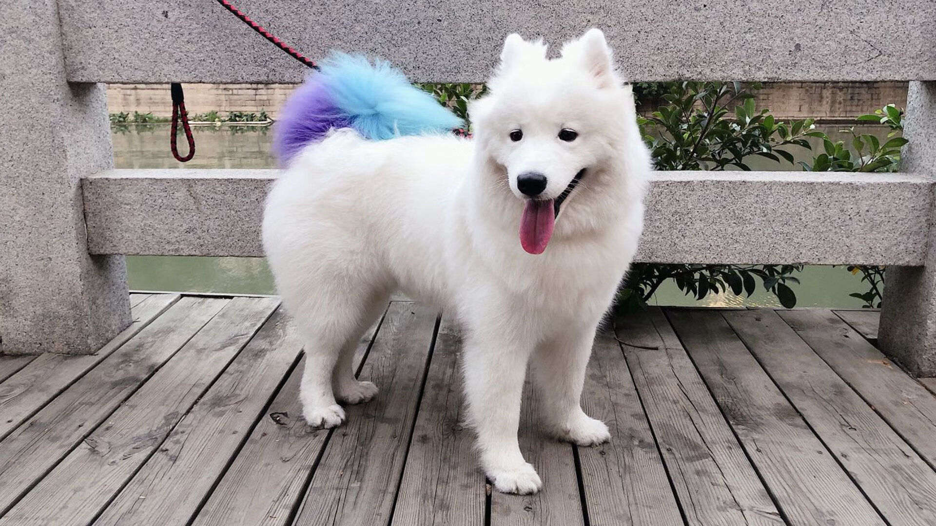 史上最年轻“欧洲金靴”得主鼎盛登场,最年轻的欧洲金靴