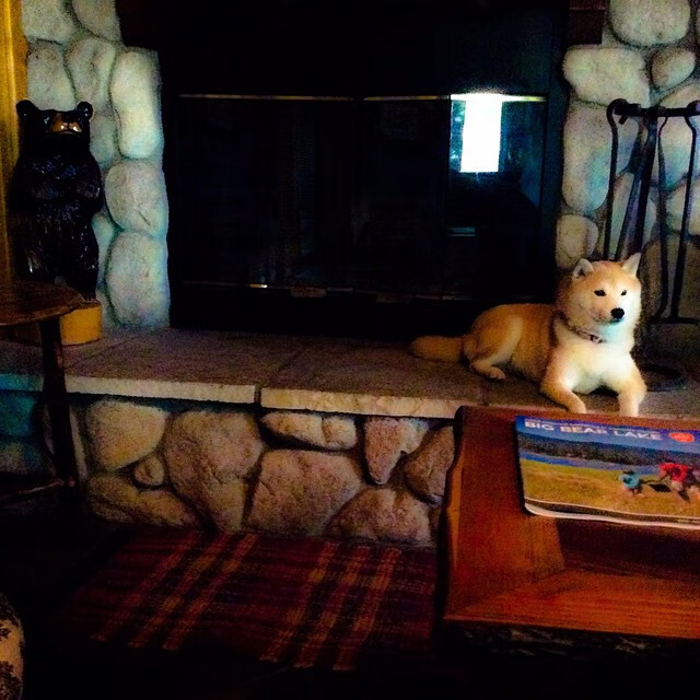 国际车手争夺赛季桂冠,国际赛车车队