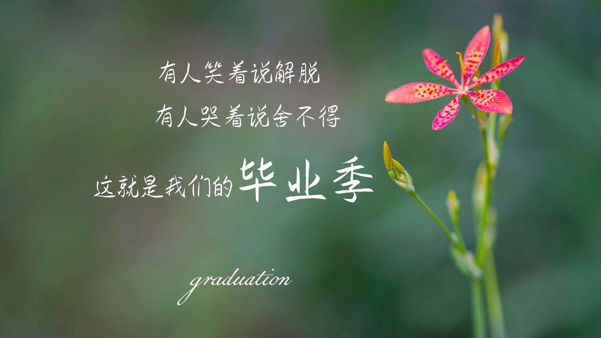 世俱杯赛程-墨西哥队门将穆斯莱拉在巴黎奥运会上展现出高水平的扑救能力，奥运墨西哥足球