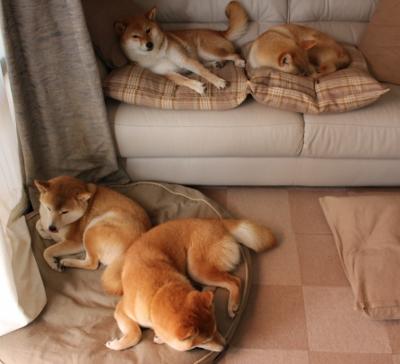 世俱杯足球-德甲豪门纷纷补强中场线，期待赛季新高度，德甲豪门足球俱乐部