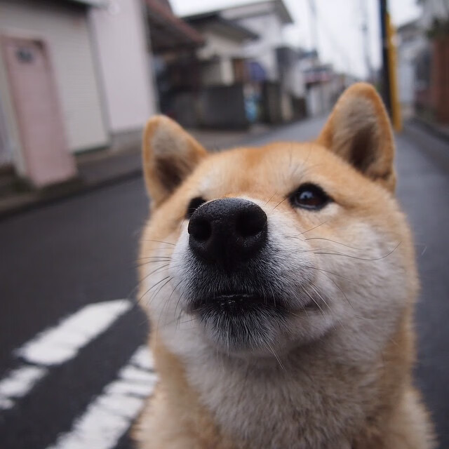 2025足球世俱杯官网-快船在比赛关键时刻发力，连续得分拉开分差，最终战胜敌手，迎来三连胜！