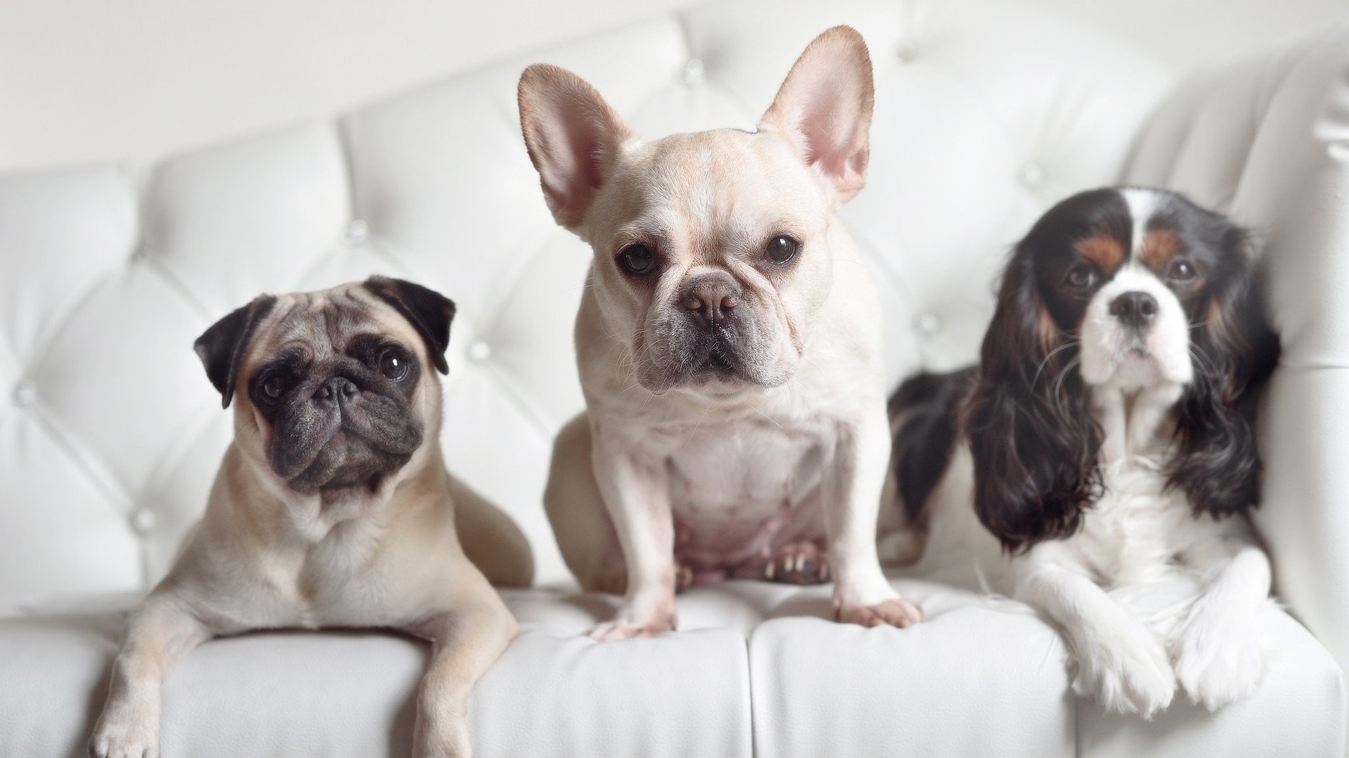 摩洛哥队在巴黎奥运会男足比赛中展现出快速反击战术,摩洛哥男足世界排名