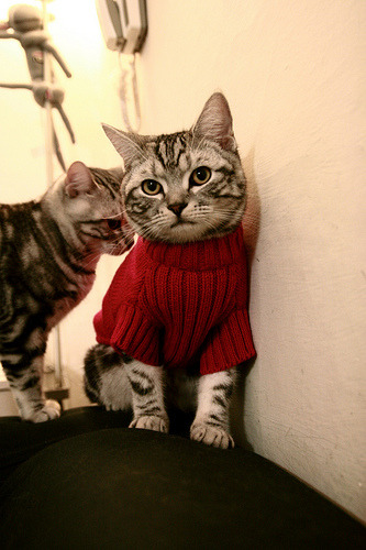 2025世俱杯-本轮最耀眼：哪位球员拿下“全场最佳”！，全场最佳选手