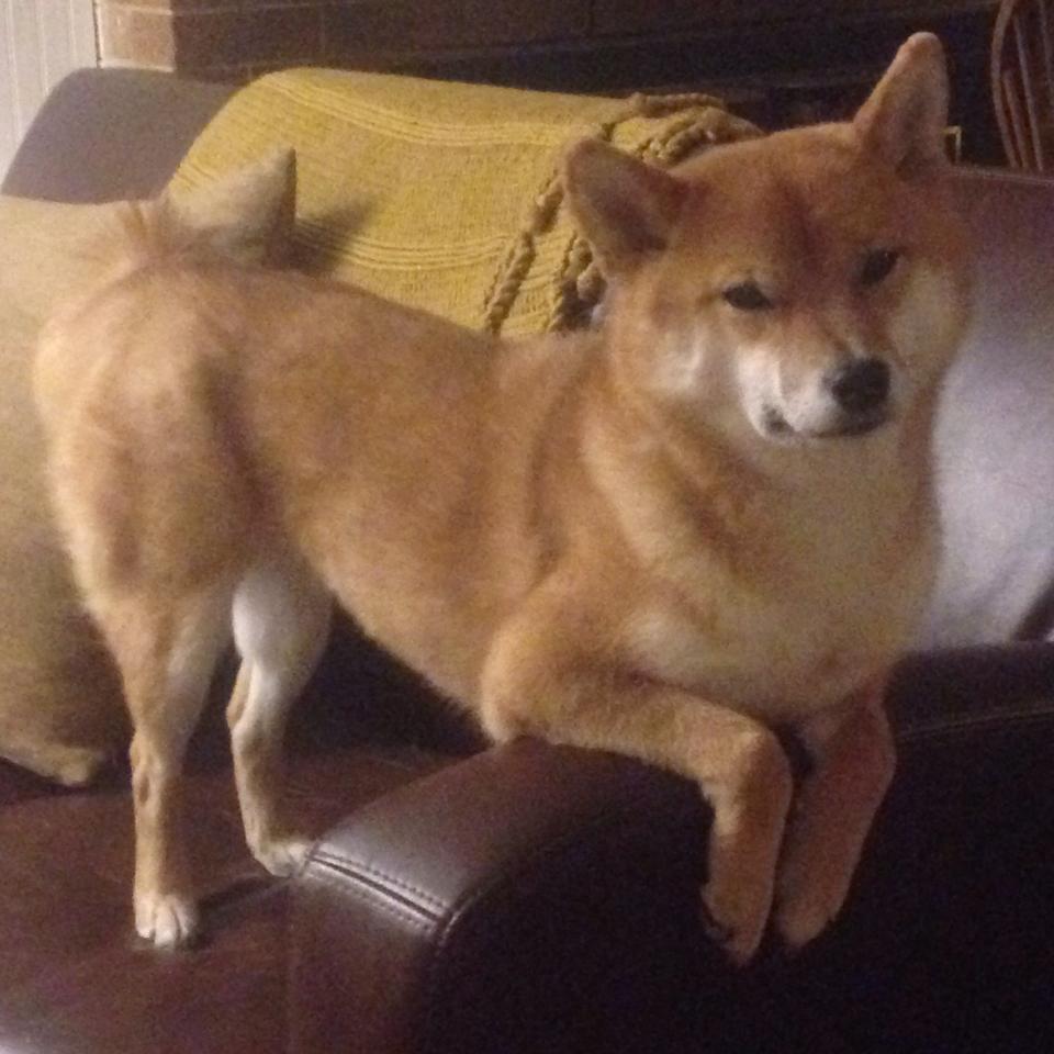 海外电竞市场快速布局,中国企业加快“出海”步伐,电竞国内外