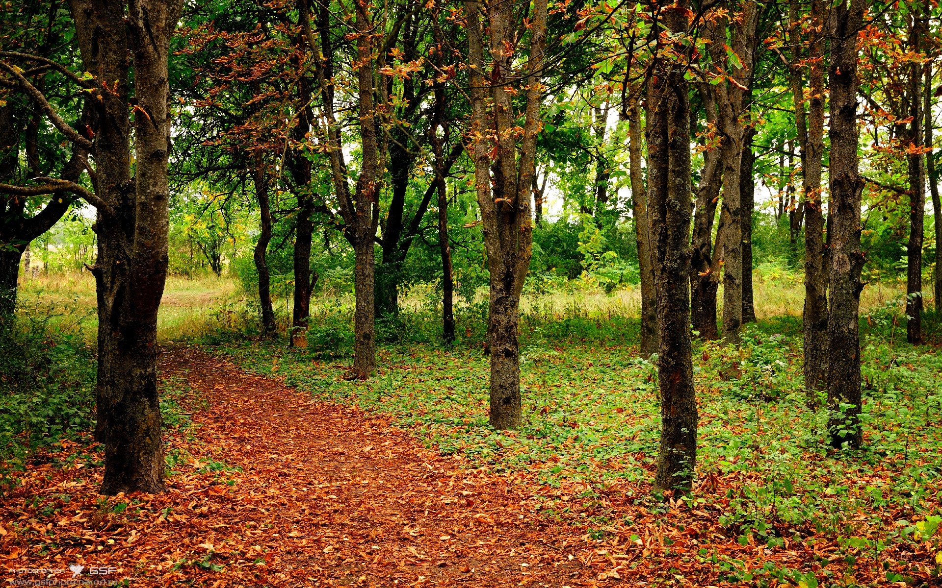 特色足球旅游线路逐步成型,助推区域经济转型升级,足球特色示范园