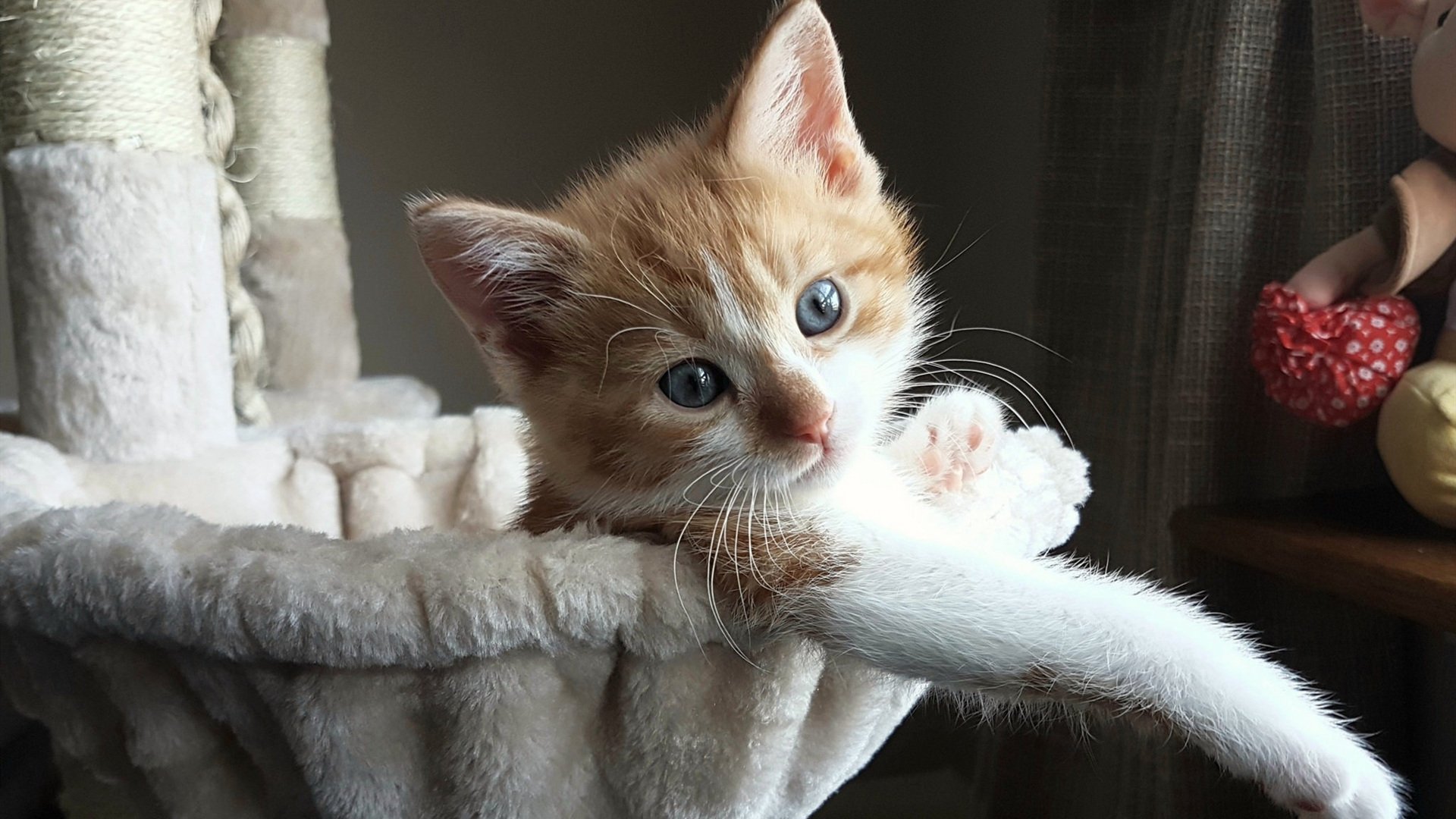 俱乐部冠军杯官网-赛事预测：专家分析下一轮比赛走向，下一轮世预赛