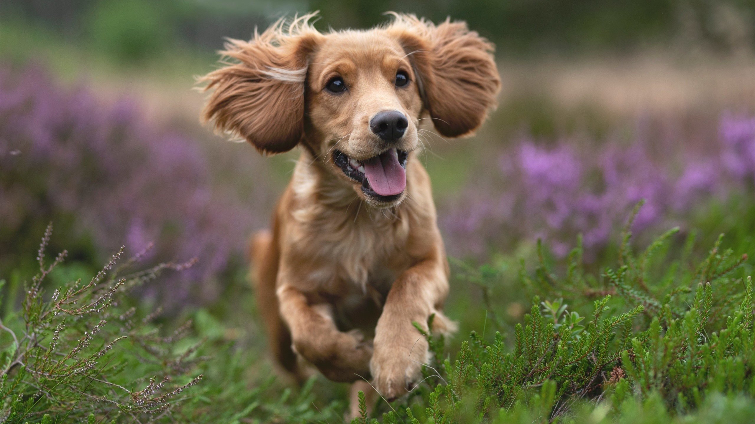 足球世俱杯-赛后专访：李明坦言“团队合作是获胜关键”，球员 李明