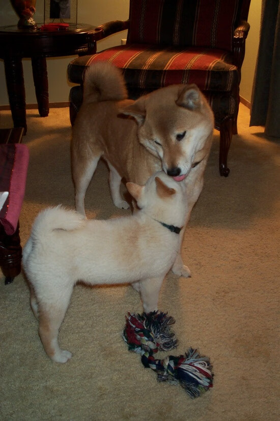 青少年足球教练员培训班全国巡讲,提升专业化水平,全国青少年校园足球教练员国家级专项培训课教案