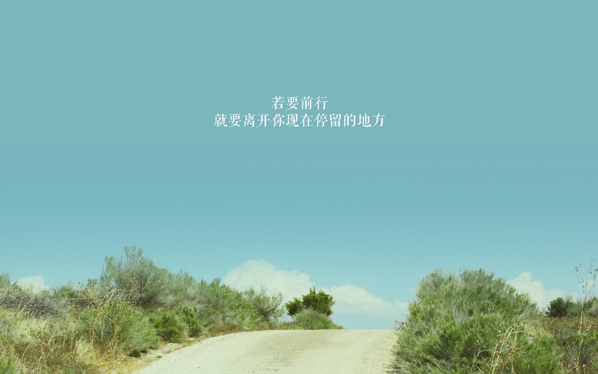 足球世俱杯-CBA球队新帅上任，振兴球队成为首要任务，cba球队球员资料