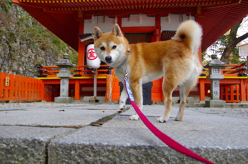 2025世俱杯赛程-东南亚劲旅登场，备战欧洲强敌对决，东南亚六大旅游胜地