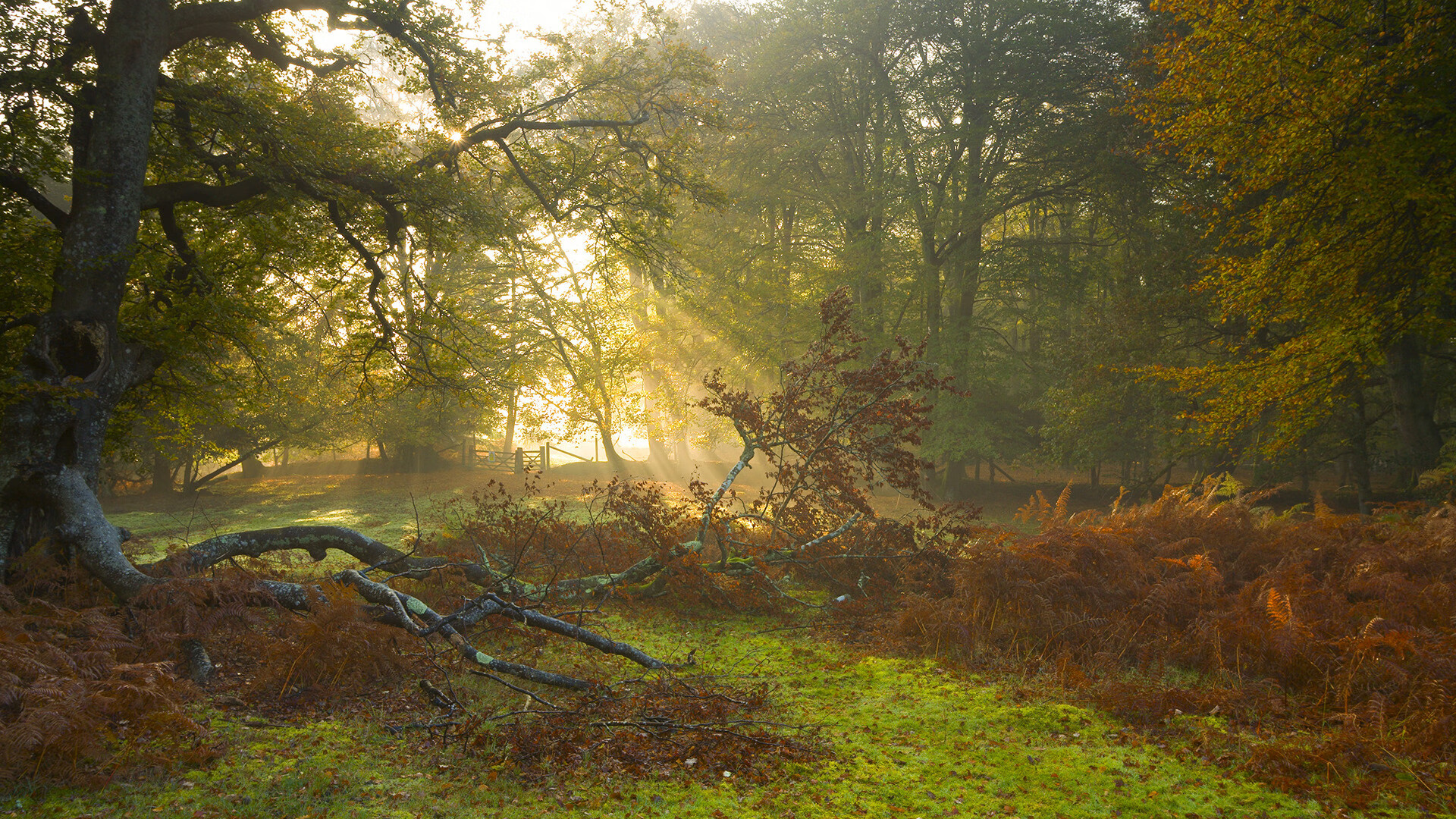 巴萨客场凯旋,球员高位输出还原总冠军气势,巴萨史诗级逆转