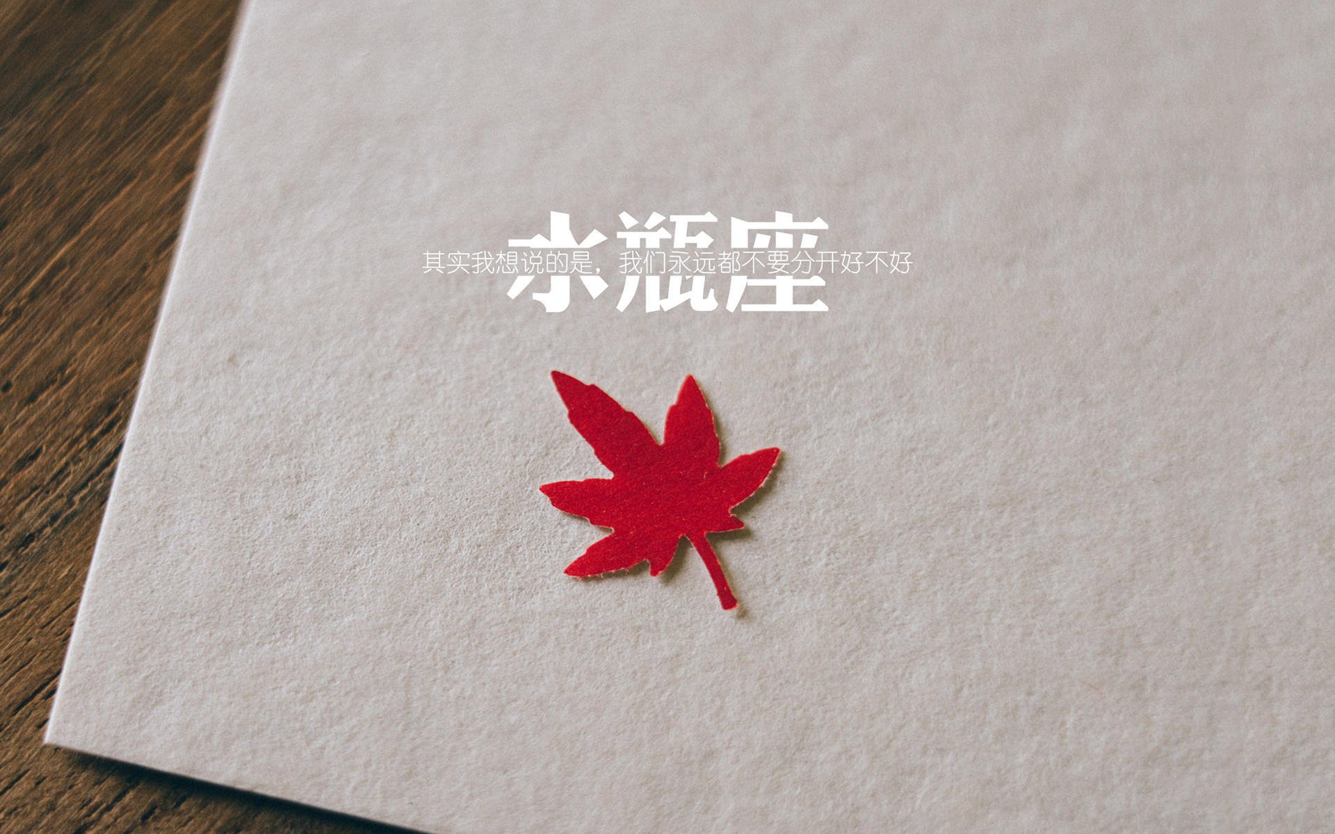 世界青年击剑锦标赛青少年五金战果丰硕,青少年击剑锦标赛年龄组别