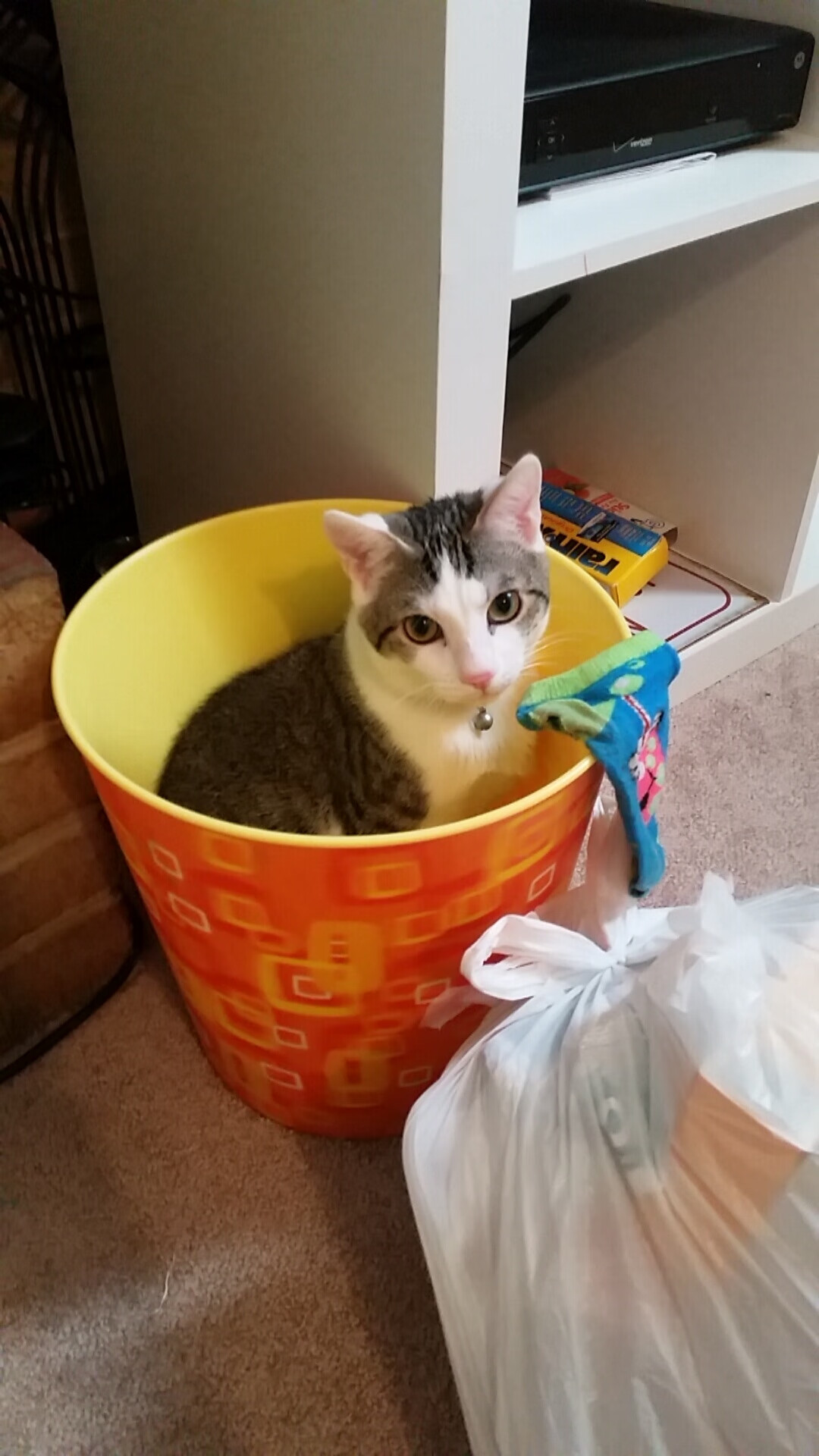 世俱杯2025赛程-意甲青训营融入认知训练提升技战术反应速度的实证研究，意甲5月4日恢复训练