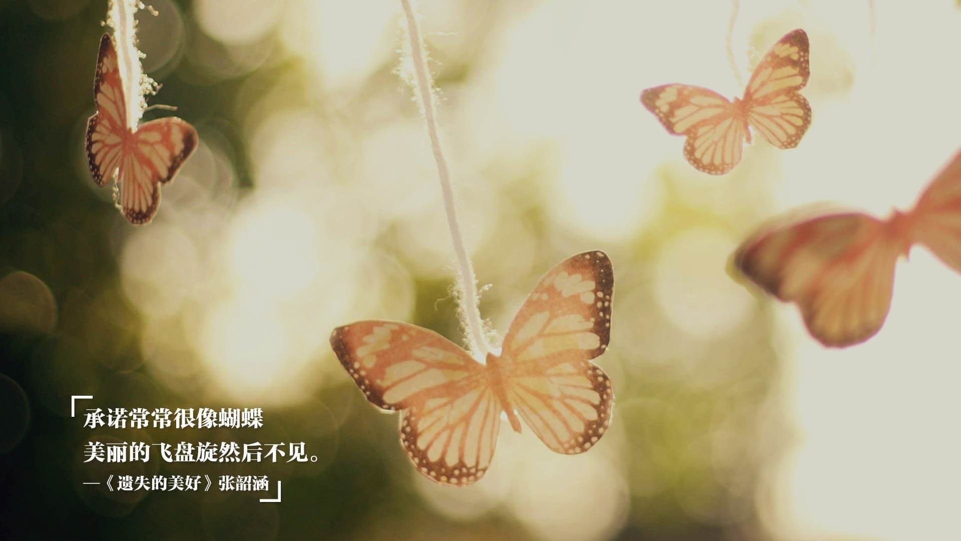 国家队长期缺乏中场组织核心,国家队 队长